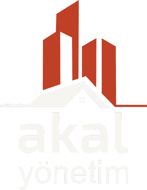 Akal Yönetim